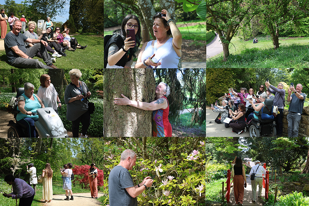 Collage of photos of people doing photography activities in Batsford Arboretum